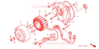 ROTOR   STATOR pour Honda BITE 50 de 2003