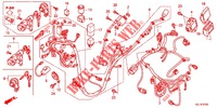 FAISCEAU DES FILS pour Honda DIO 110 de 2012