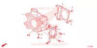 CYLINDRE pour Honda SH 150 ABS D SPECIAL 2ED de 2019