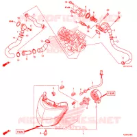 THERMOSTAT pour Honda CBR 1000 RED de 2020