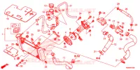 RADIATEUR pour Honda RS 150 R ORANGE de 2019