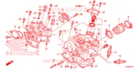 CULASSE pour Honda PIONEER 700 M2 de 2020